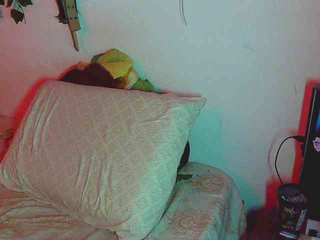 caribbeanlov4 webcam