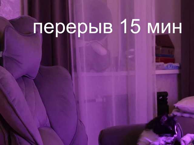 MossiPolli's BongaCams show and profile