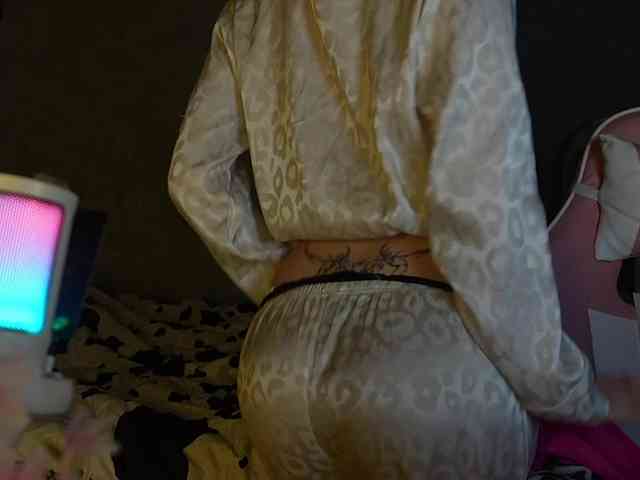 _Polly_ webcam