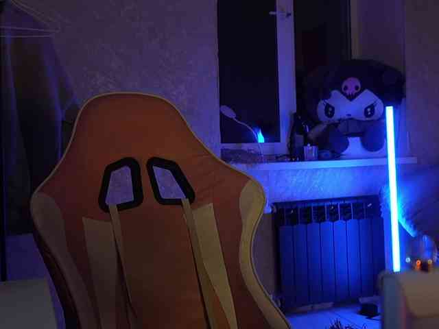 _Polly_ webcam