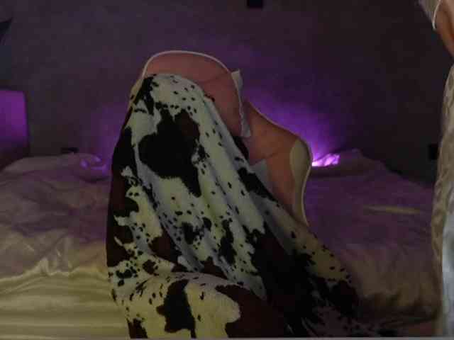 _Polly_ webcam