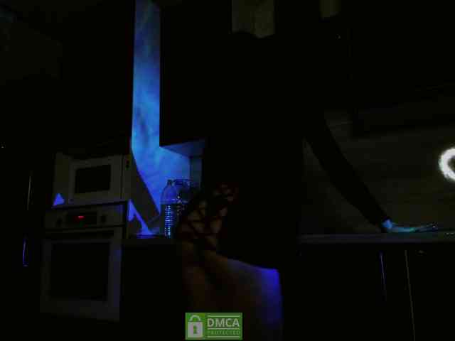 Fi-des webcam