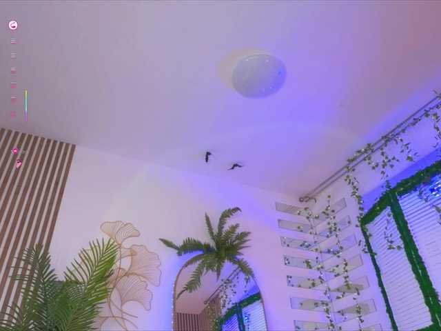 BlushMikki room chat