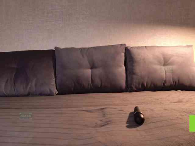 Avr0ria webcam