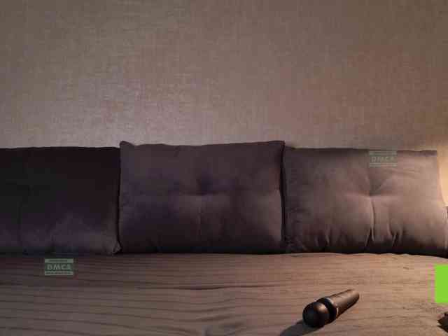 Avr0ria webcam