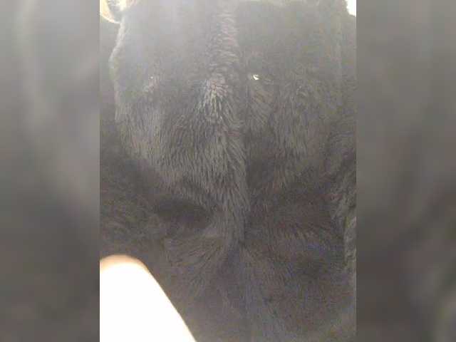 KarinaPlay23's BongaCams show and profile