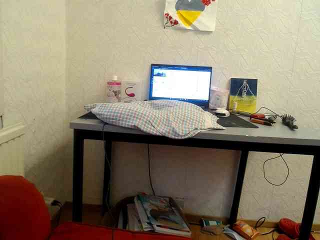 IrinaLitvinova webcam