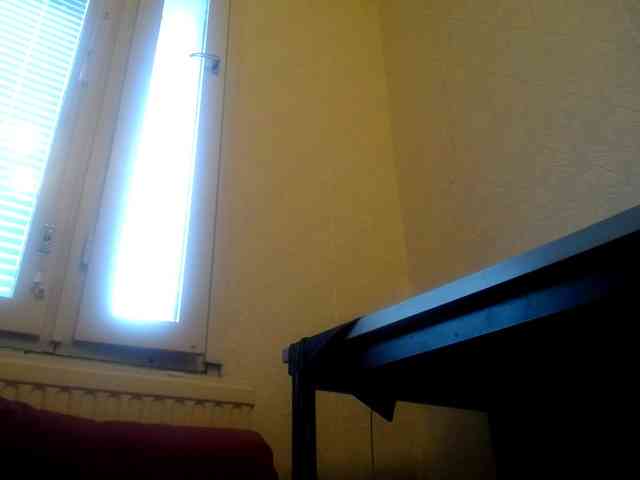 IrinaLitvinova webcam