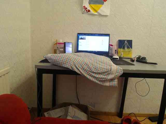 IrinaLitvinova webcam