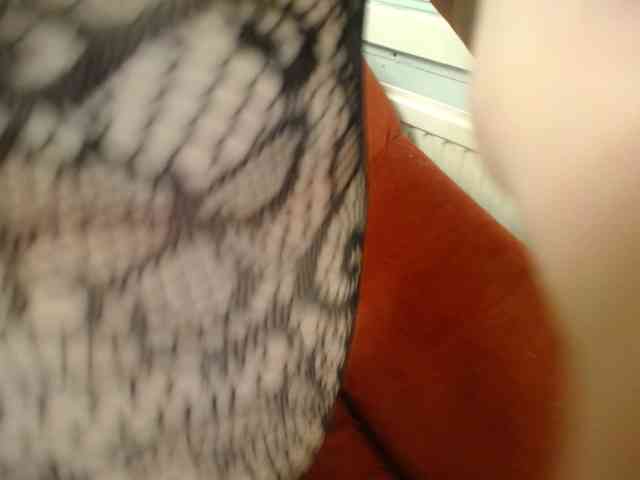 IrinaLitvinova webcam