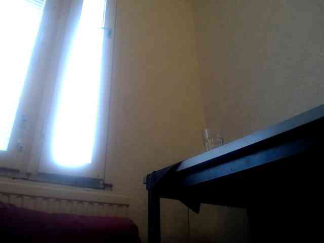 IrinaLitvinova webcam