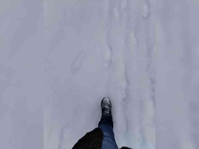 IrinaLitvinova webcam