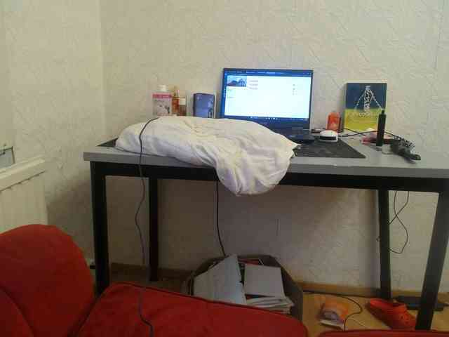 IrinaLitvinova webcam