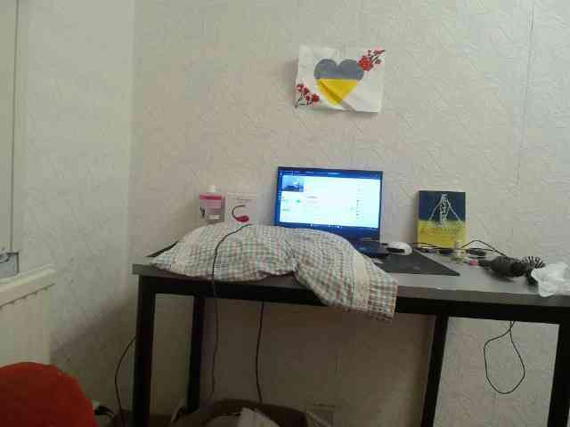 IrinaLitvinova webcam