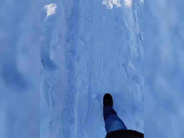 IrinaLitvinova webcam