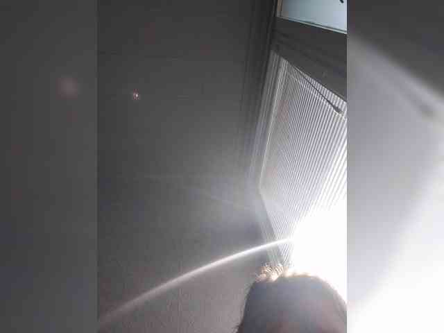 IrinaLitvinova webcam