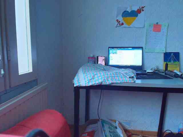 IrinaLitvinova webcam