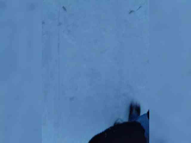 IrinaLitvinova webcam