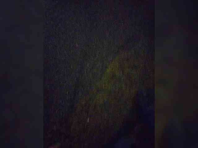 IrinaLitvinova webcam