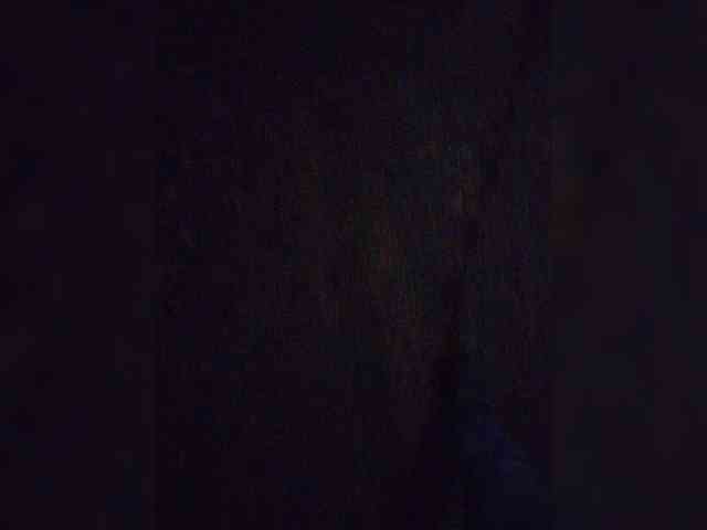 IrinaLitvinova webcam