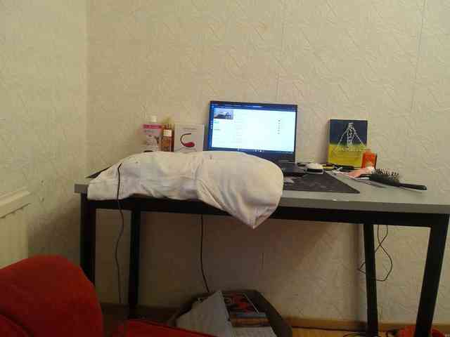 IrinaLitvinova webcam
