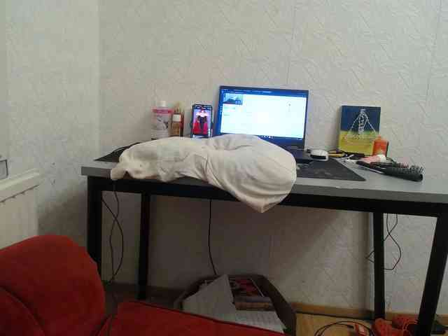 IrinaLitvinova webcam