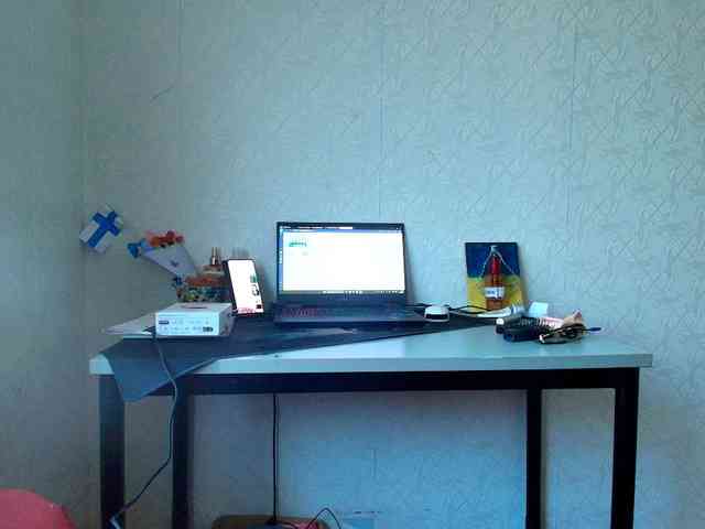 IrinaLitvinova webcam