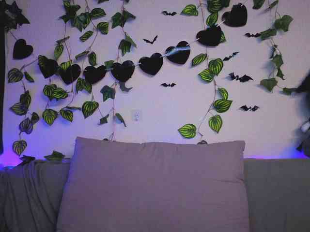 kawaiikitty kawaiikitty