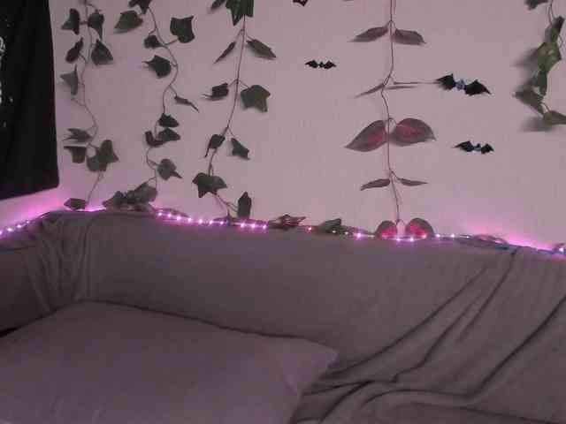 kawaiikitty kawaiikitty