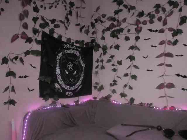 kawaiikitty kawaiikitty