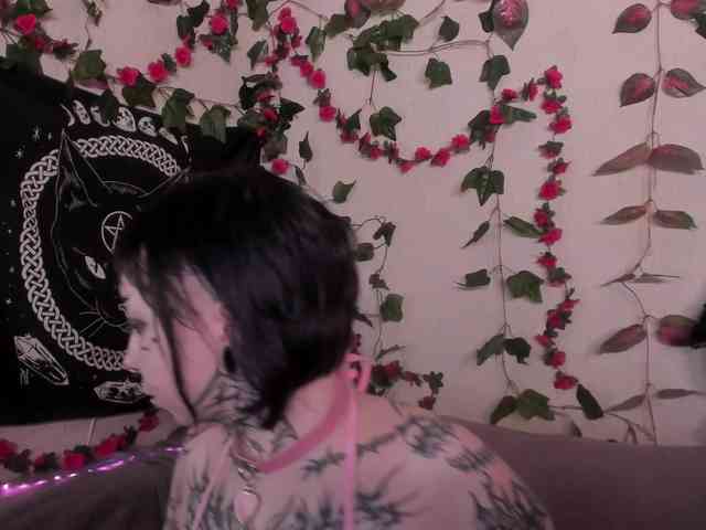 kawaiikitty webcam