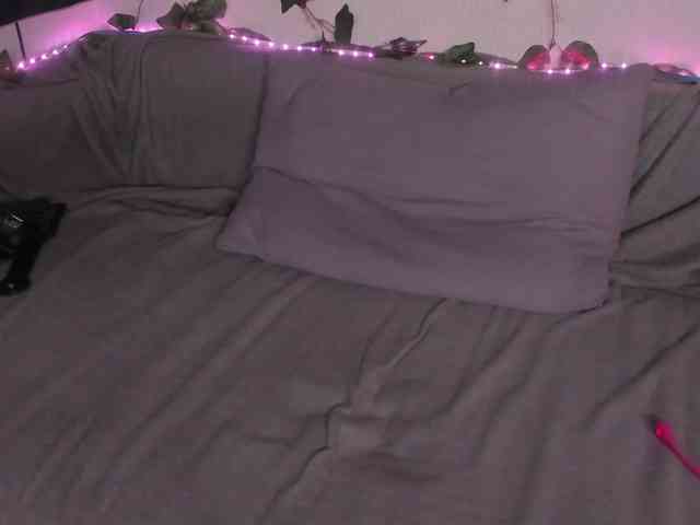 kawaiikitty kawaiikitty