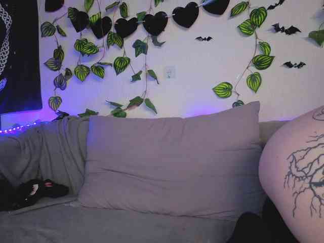 kawaiikitty kawaiikitty