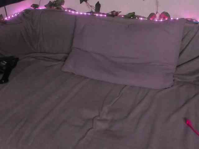 kawaiikitty kawaiikitty