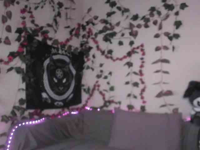 kawaiikitty kawaiikitty