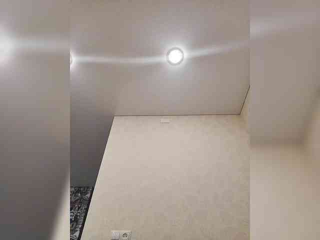 -queen-margo- -queen-margo-