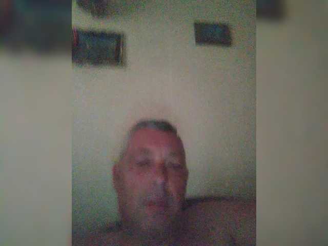 Aligator0453