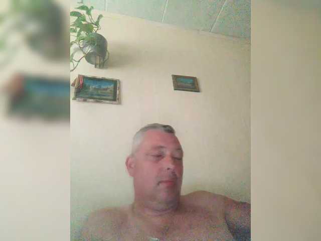 Aligator0453