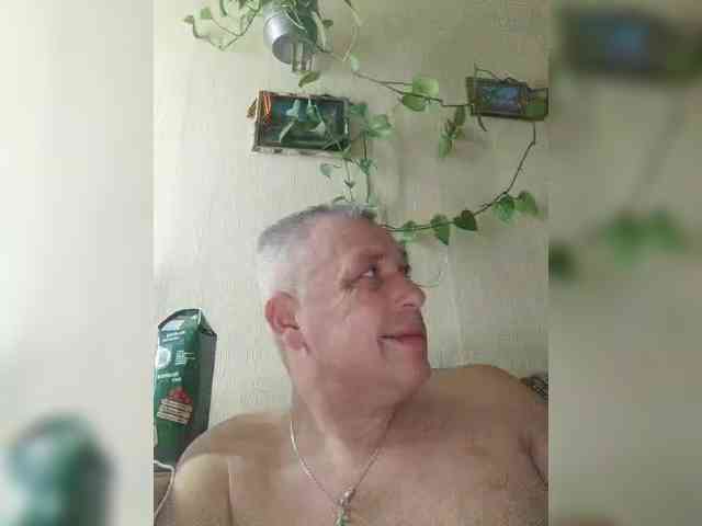 Aligator0453 Aligator0453