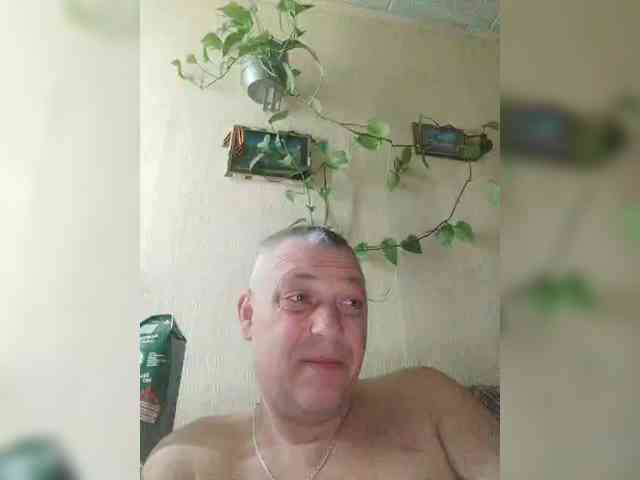 Aligator0453 Aligator0453