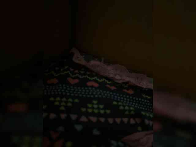 ScarlettSugar ScarlettSugar