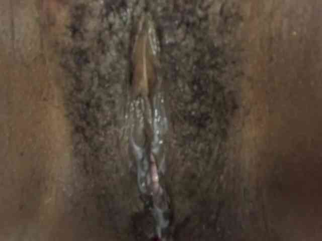 Kimmturner webcam