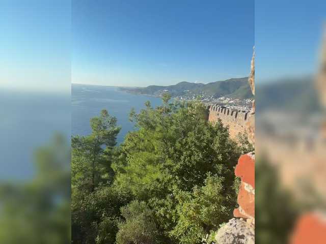 go to chat with OrgazMia