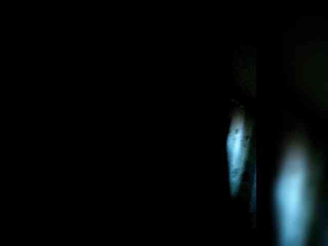 KazaNova1965 Live Webcam on BongaCams