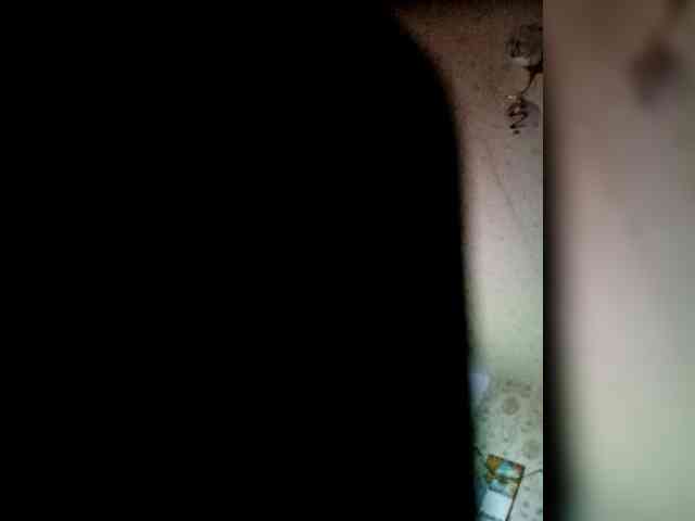 KazaNova1965 KazaNova1965