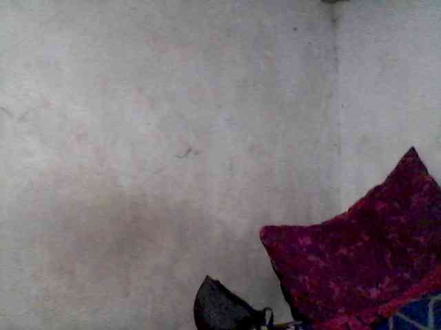 sweetasian33 webcam