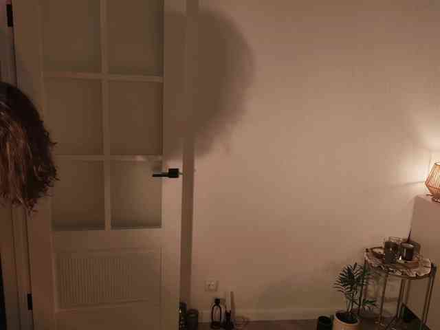 NinaNight webcam