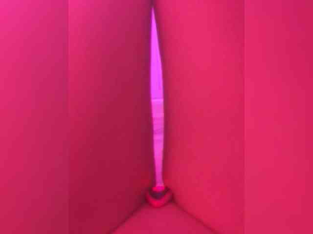 Trin_ webcam