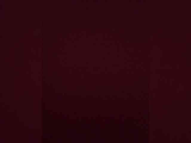 Trin_ webcam