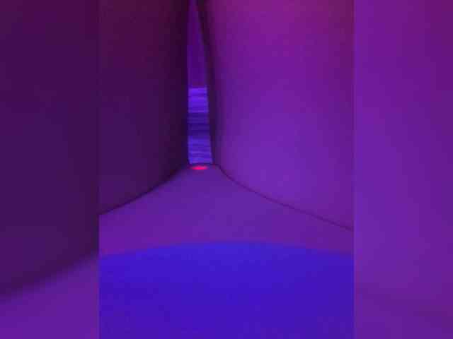 Trin_ webcam
